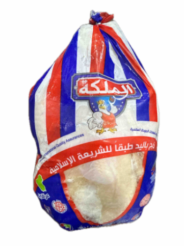 دجاج الملكة عراقي